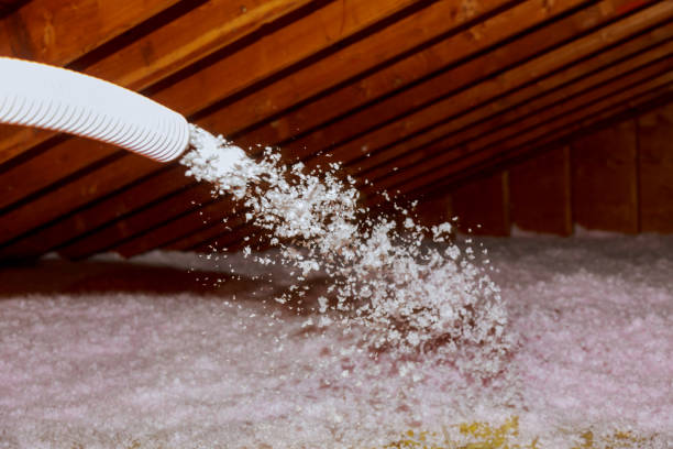 Best Insulation Replacement Services  in East Honolulu, HI