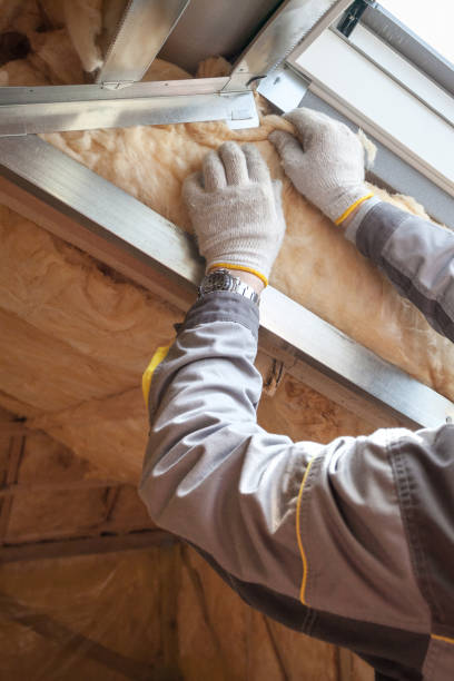 Best Spray Foam Insulation  in East Honolulu, HI