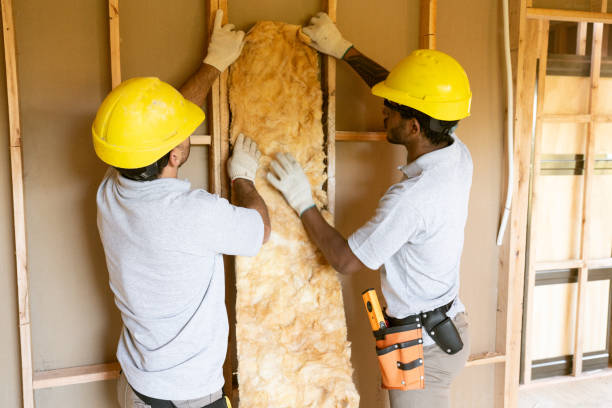 Best Best Insulation Companies  in East Honolulu, HI